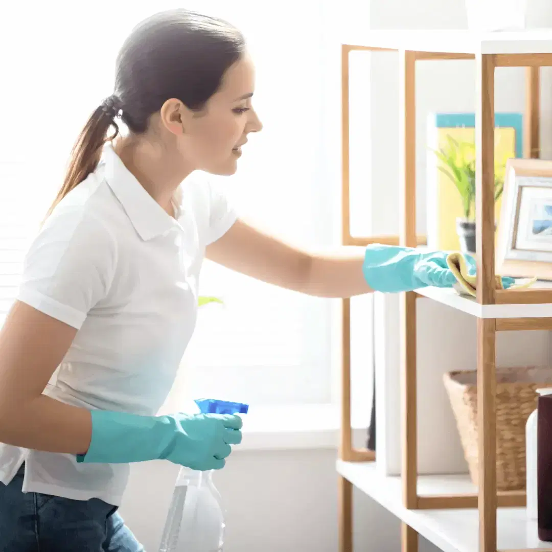 izmir ev temizliği temizlik şirketi