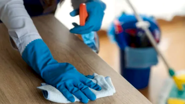 İzmir Güzelyalı Temizlik Firmaları